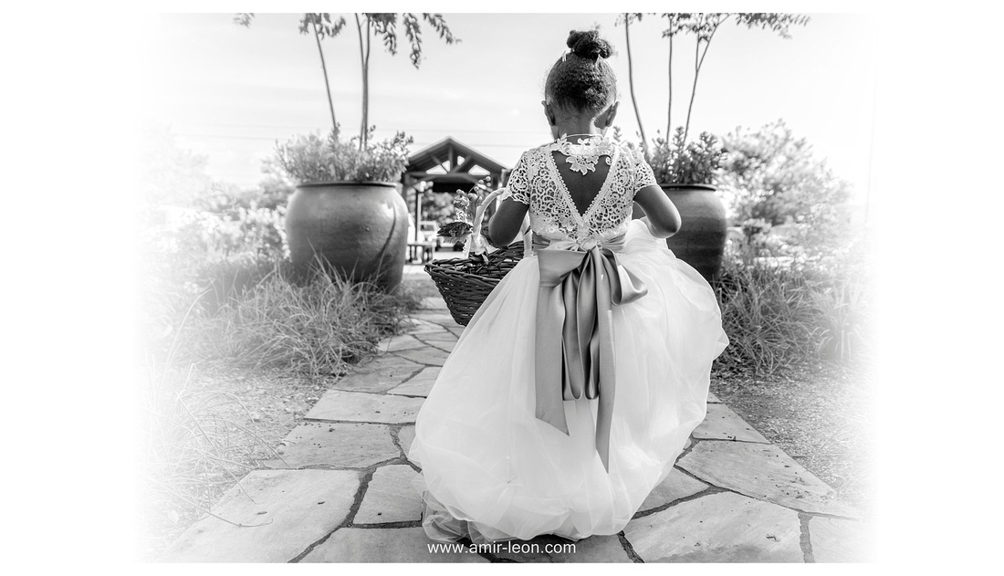 Columbus Botanical Garden - Amir Leon Wedding Photographer_0004