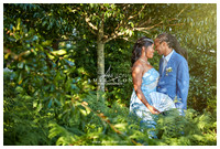 Columbus Botanical Garden - Amir Leon Wedding Photographer_0002